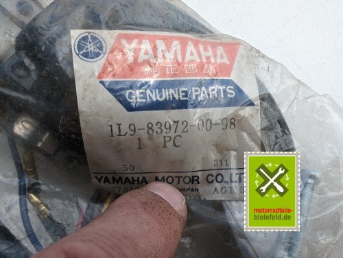 PXL_20240528_143204768